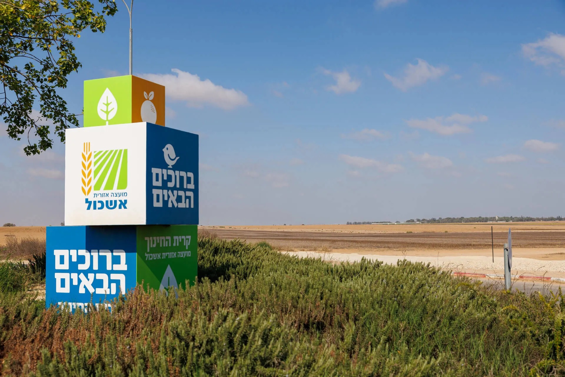 קריית החינוך במועצה אזורית אשכול. צילום: נועה עמיר כהן