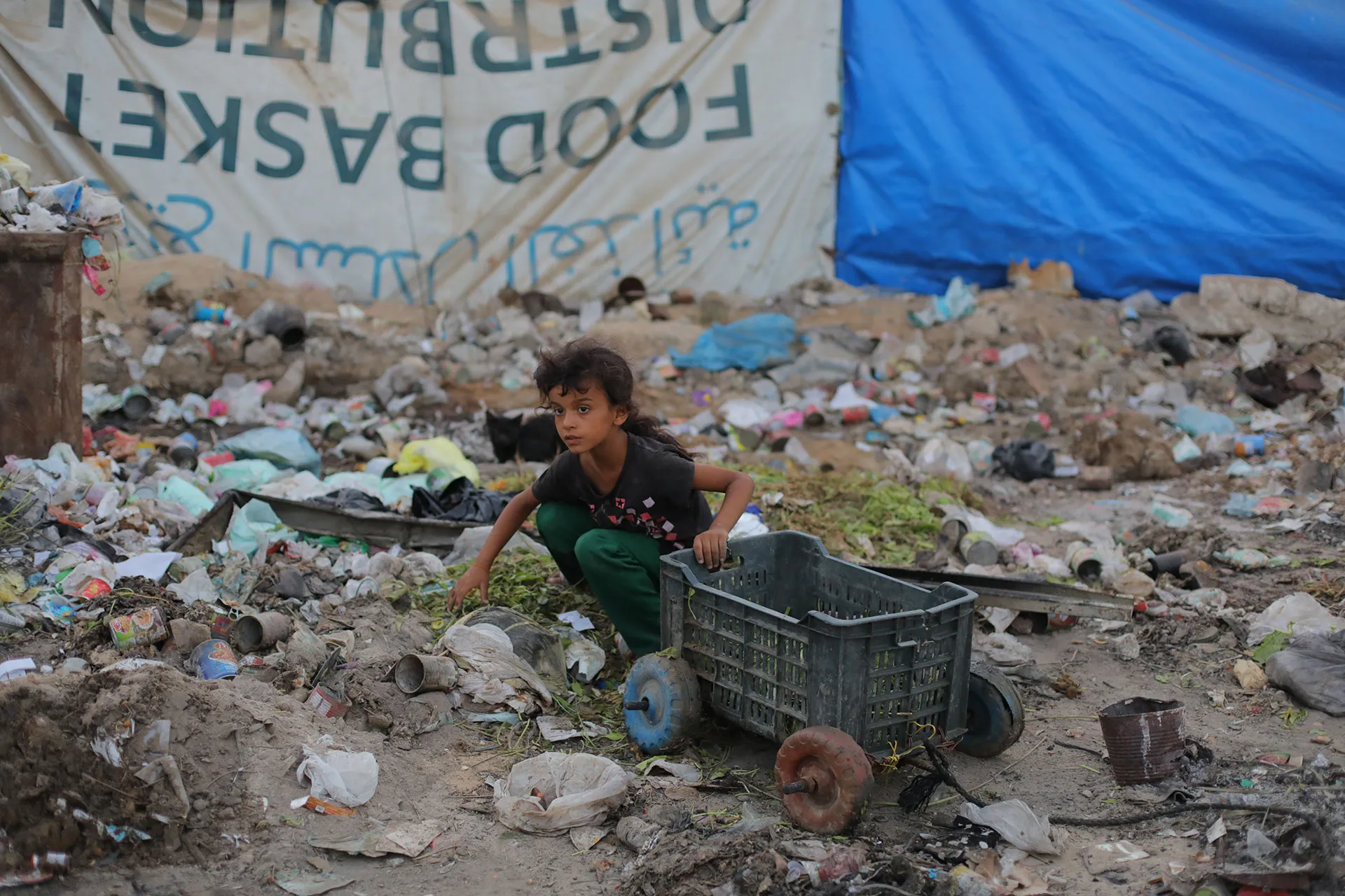 A girl looks for food in the leftovers of discarded lentils. Photo: Reuters