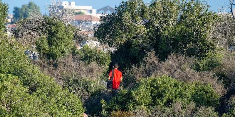 עובדים בפחד, שולחים כסף במזומן: החיים החדשים של פועלי הגדה בישראל