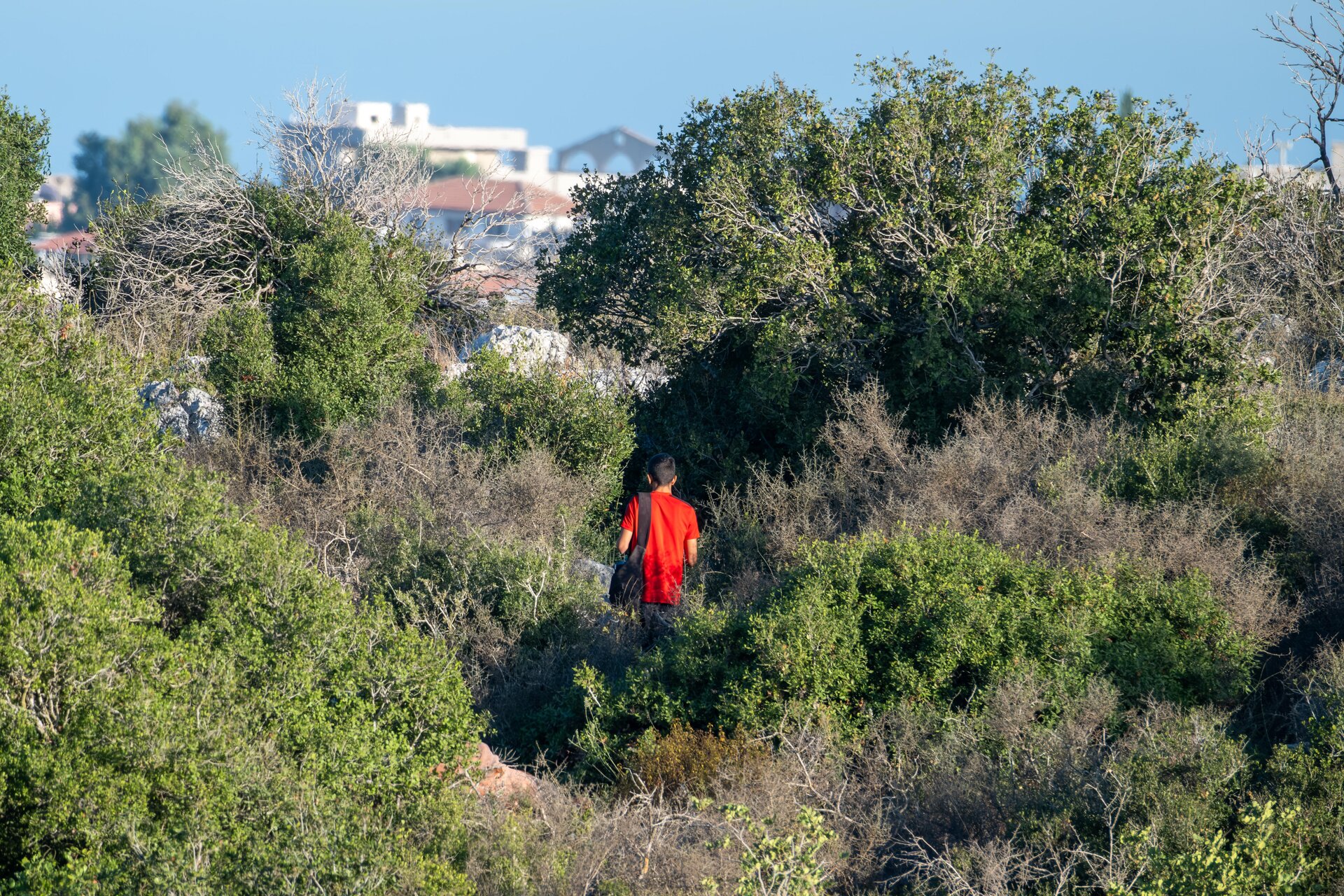 שב"ח פלסטיני מסתתר בשטח. צילום ארכיון: פאדי אמון