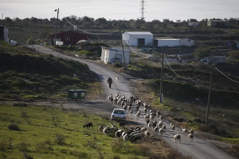 מאחז בגדה. צילום ארכיון: רויטרס