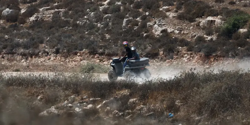 המחיר הנורא כשאף אחד לא עוצר את החרם > ידיעות אחרונות