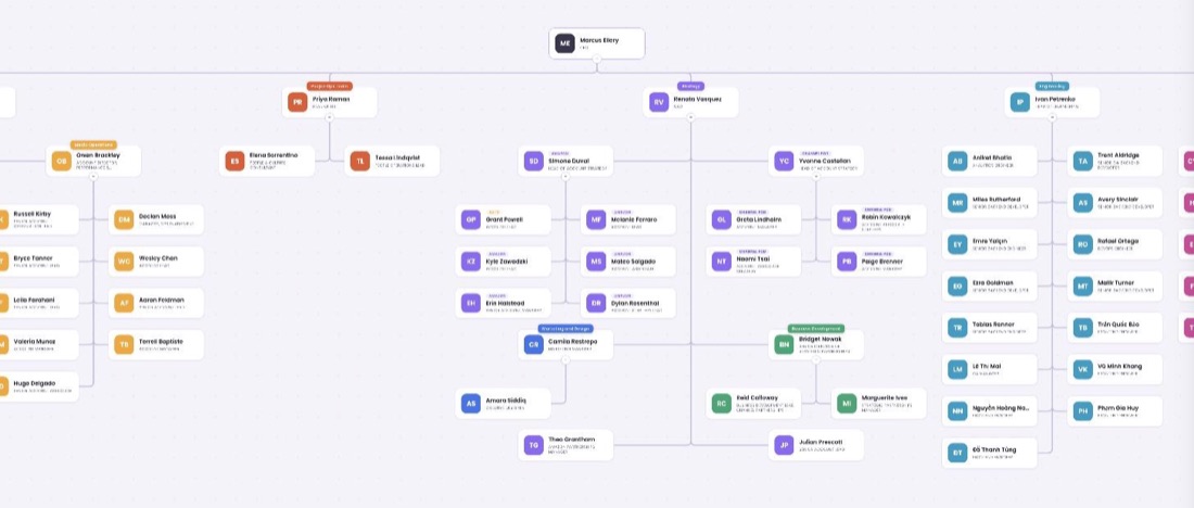 The interactive org chart in use — colour-coded department pills and reporting lines across dozens of people