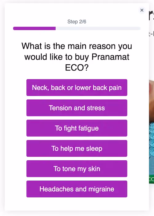 Step two in Pranamat's quiz asks, "What is the main reason you would like to buy Pranamat ECO?" Shoppers have several options to choose from.