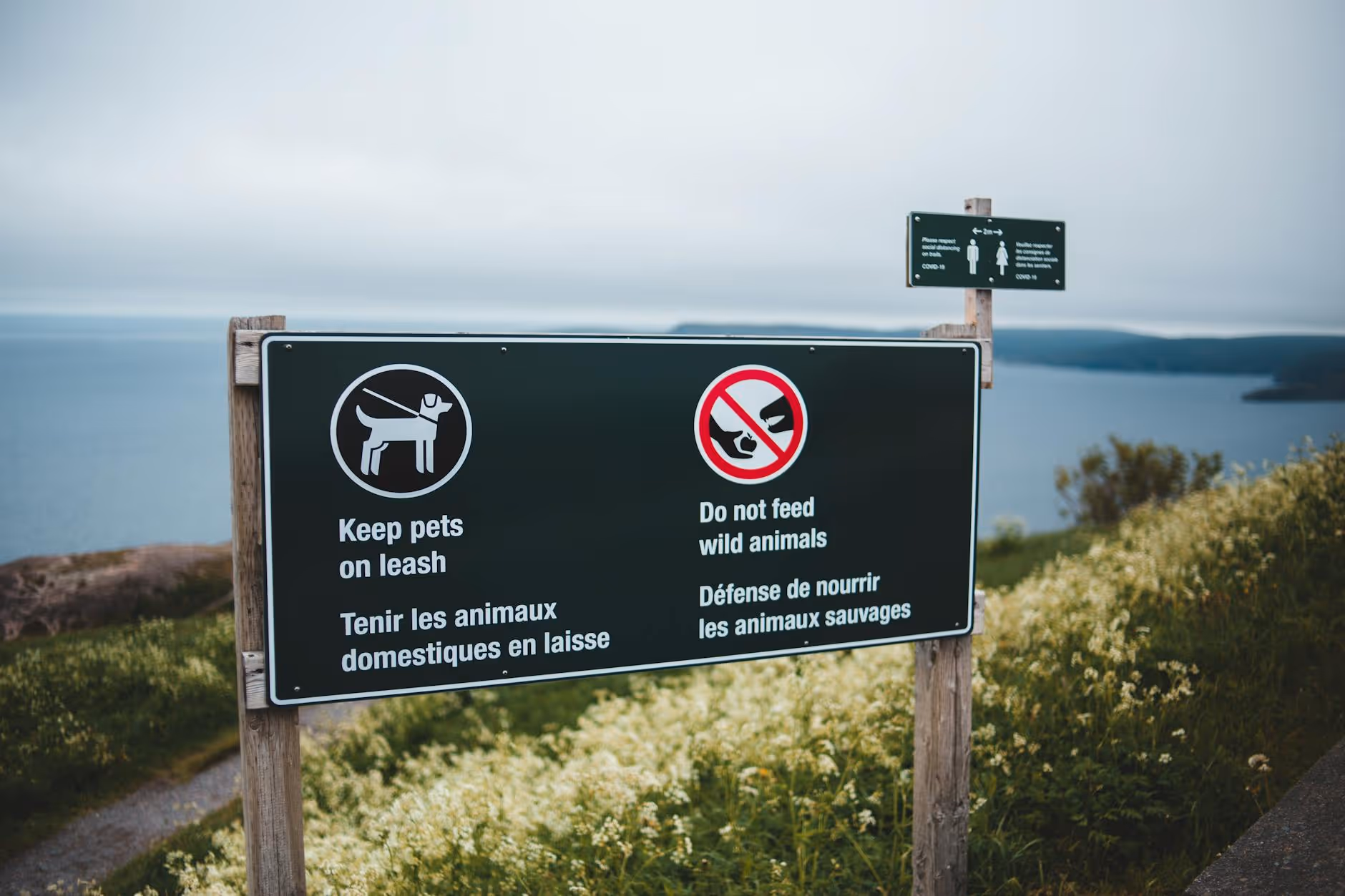 Warning signs against feeding animals and leash rules by a scenic lake view.