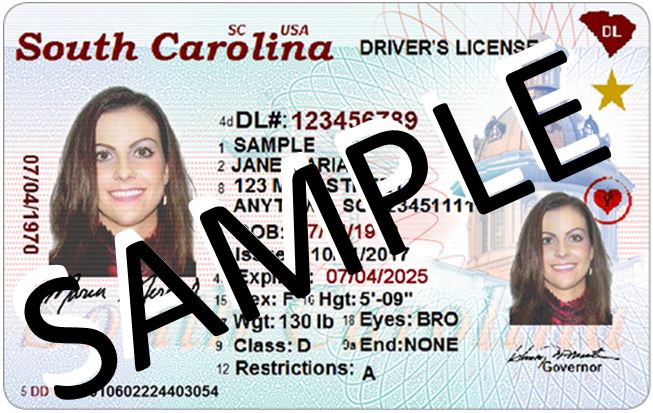 Sample driver's license from South Carolina
