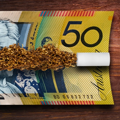  Loose tobacco and a filter laying on a rolling paper that is actually a $50 note