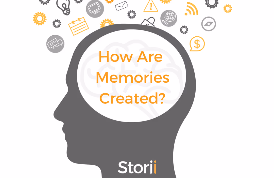 How Are Memories Created?