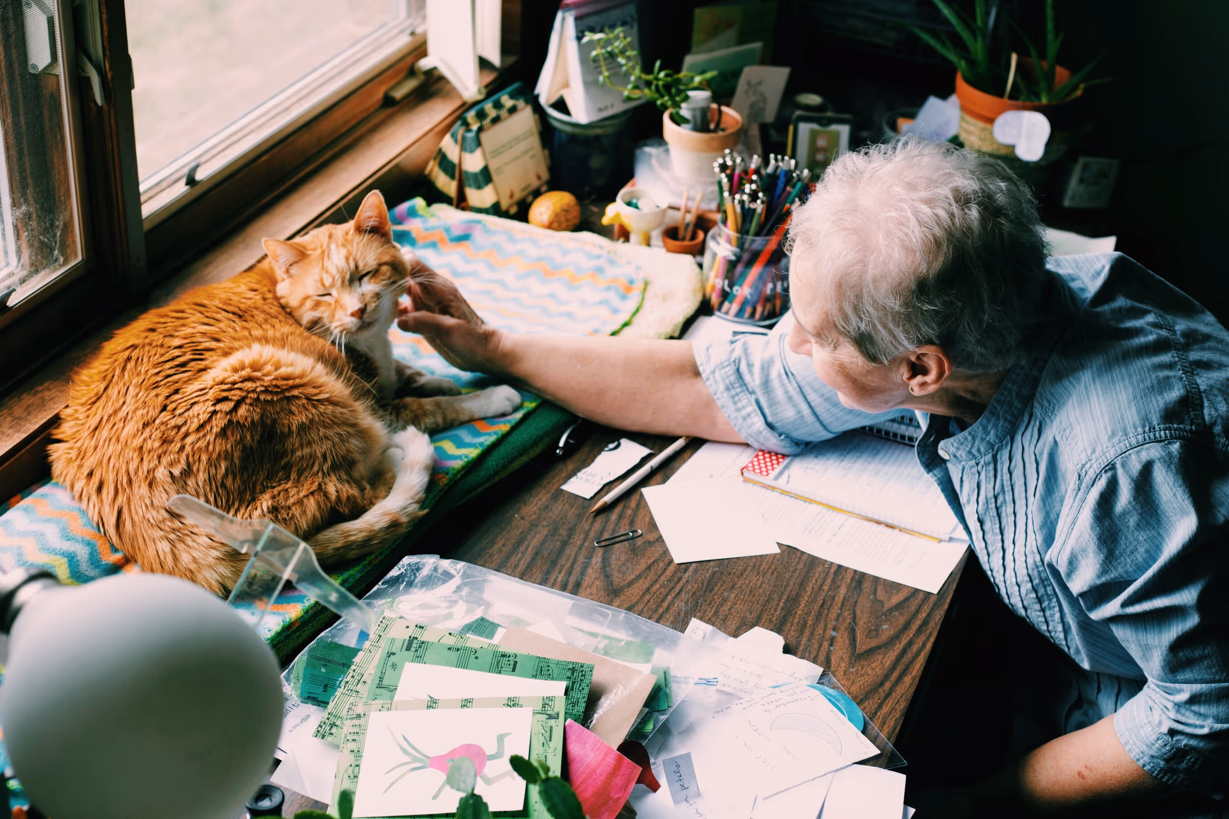How to Create a Person-Centred Care Plan