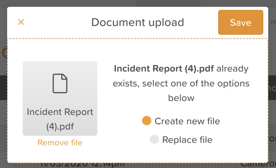 StoriiCare screenshot: 'Replace a file' Functionality