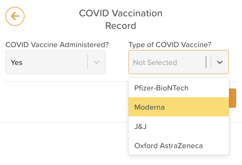 Form Builder Dropdowns