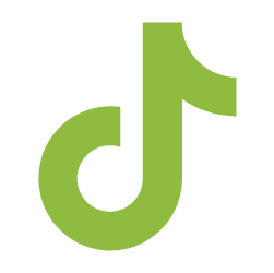 tiktok icon