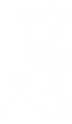 12x3 logo