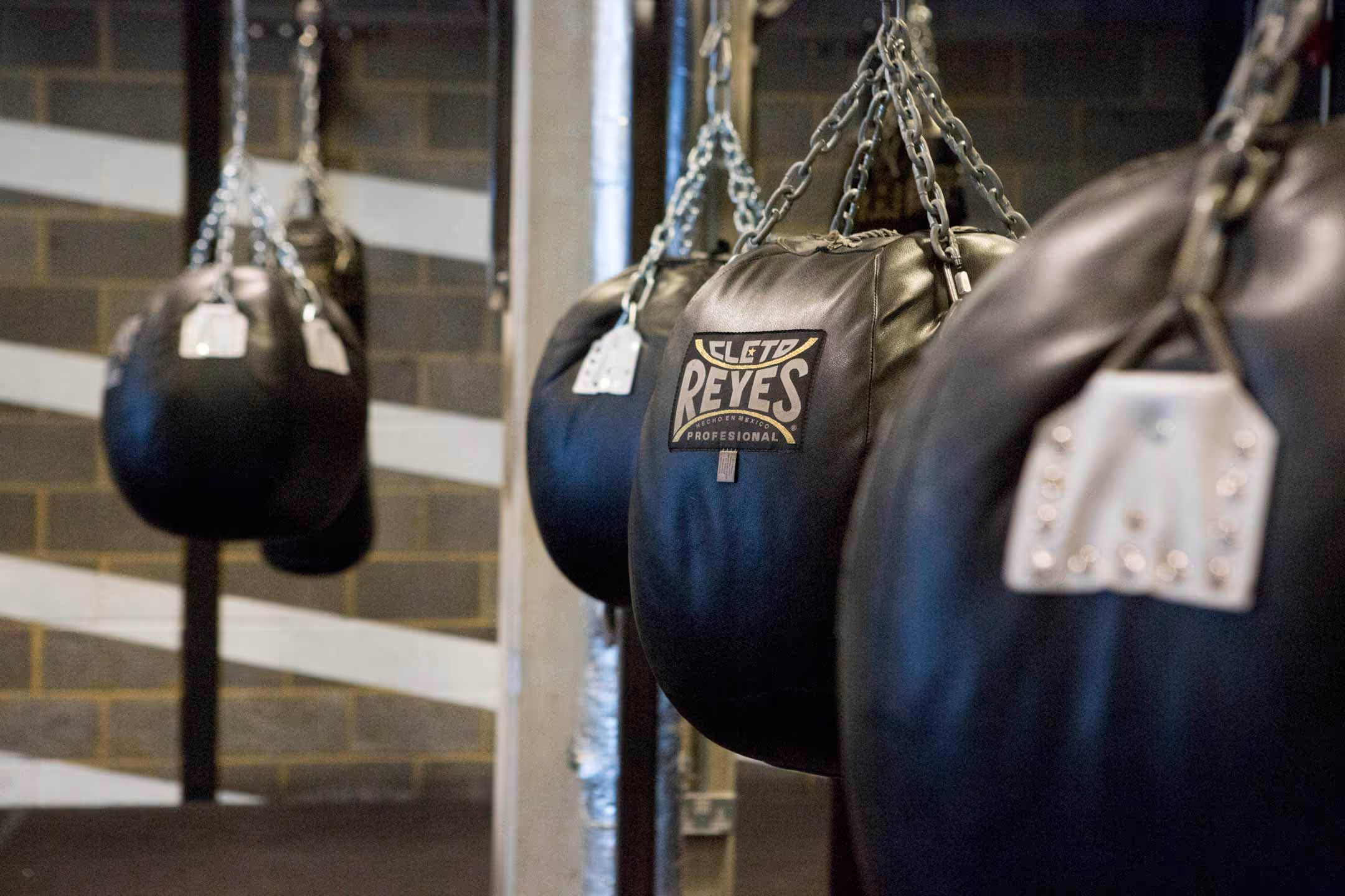 femal boxing coach and boxer training