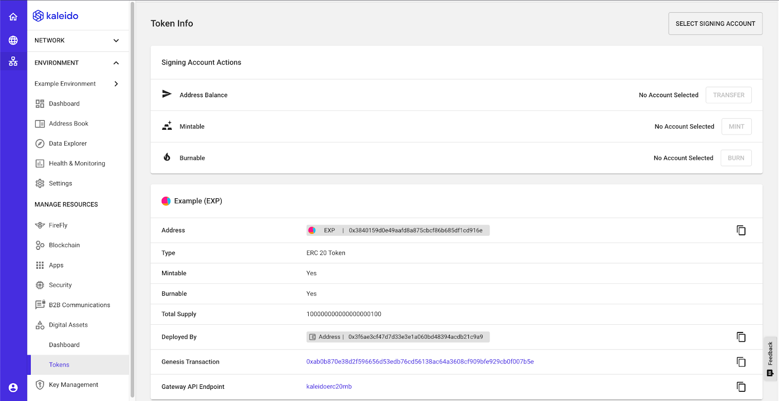 Token info in the Kaleido dashboard