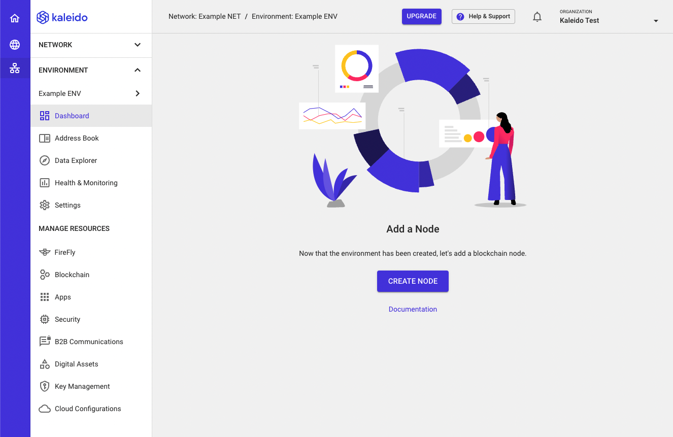 Kaleido console dashboard view