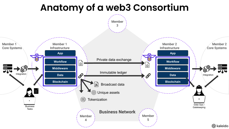 A powerpoint slide illustrating the anatomy of a web3 consortium.