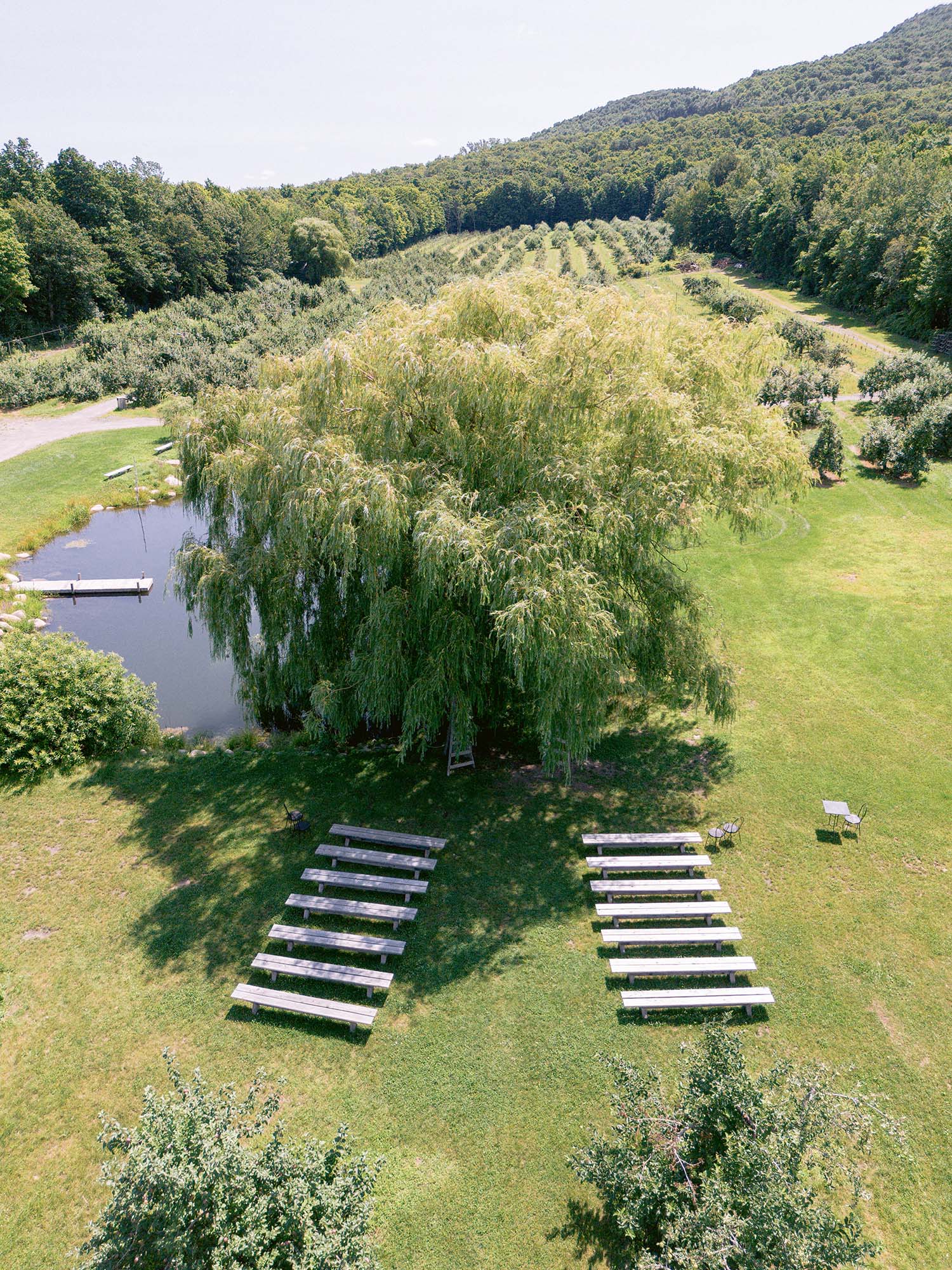Aerial view of the willow and pond at Verger du Flanc Nord, wooden benches set for a ceremony with the orchard rising behind