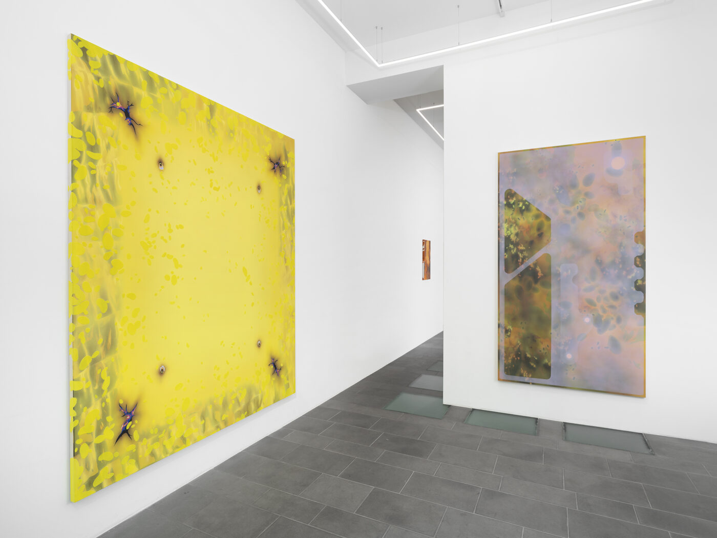 Natacha Donzé: Predictive Meadows