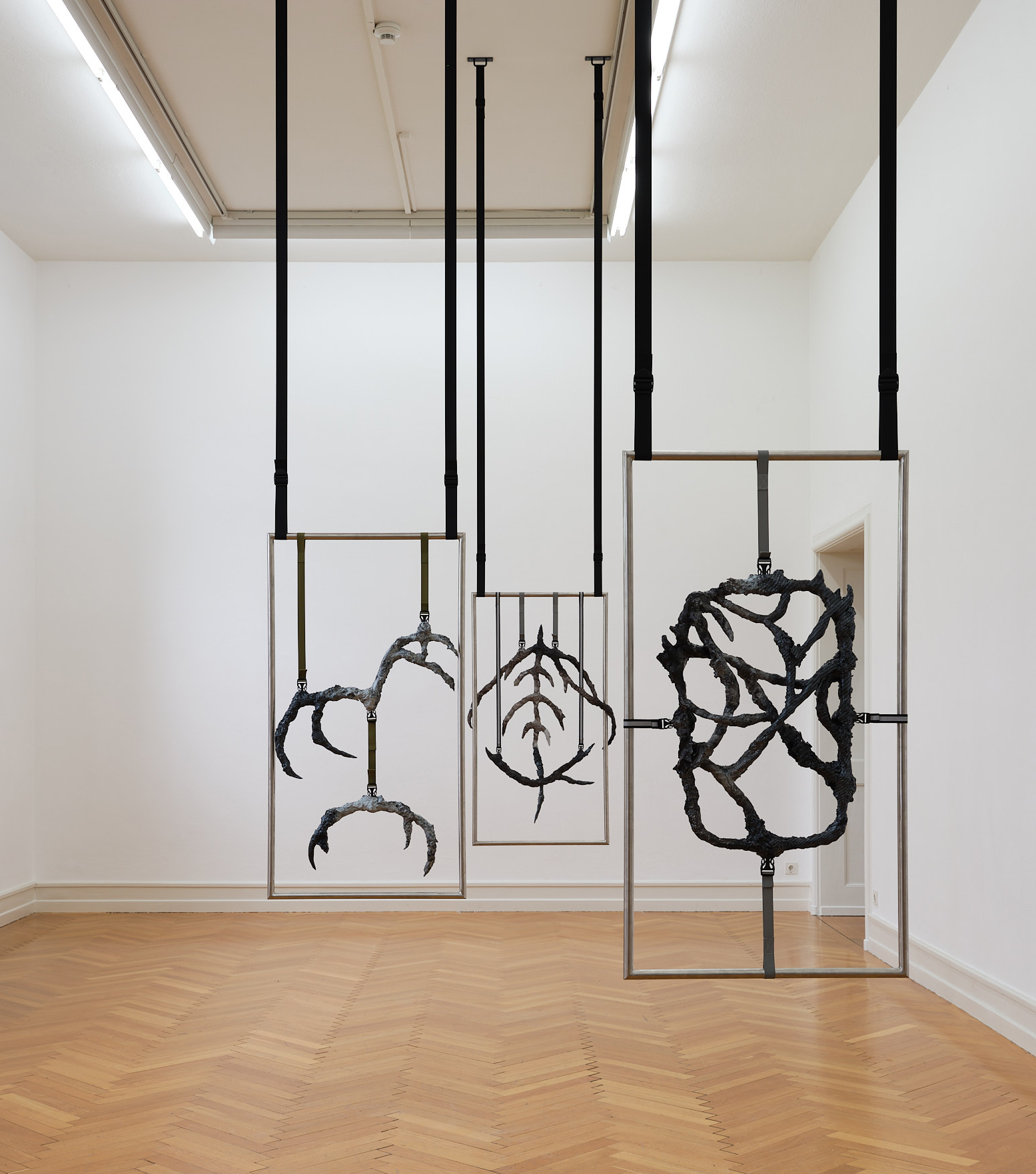 Robin Mettler