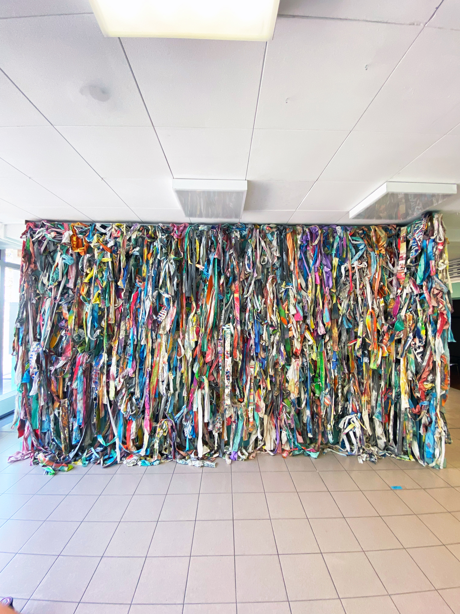 Wall of DNA