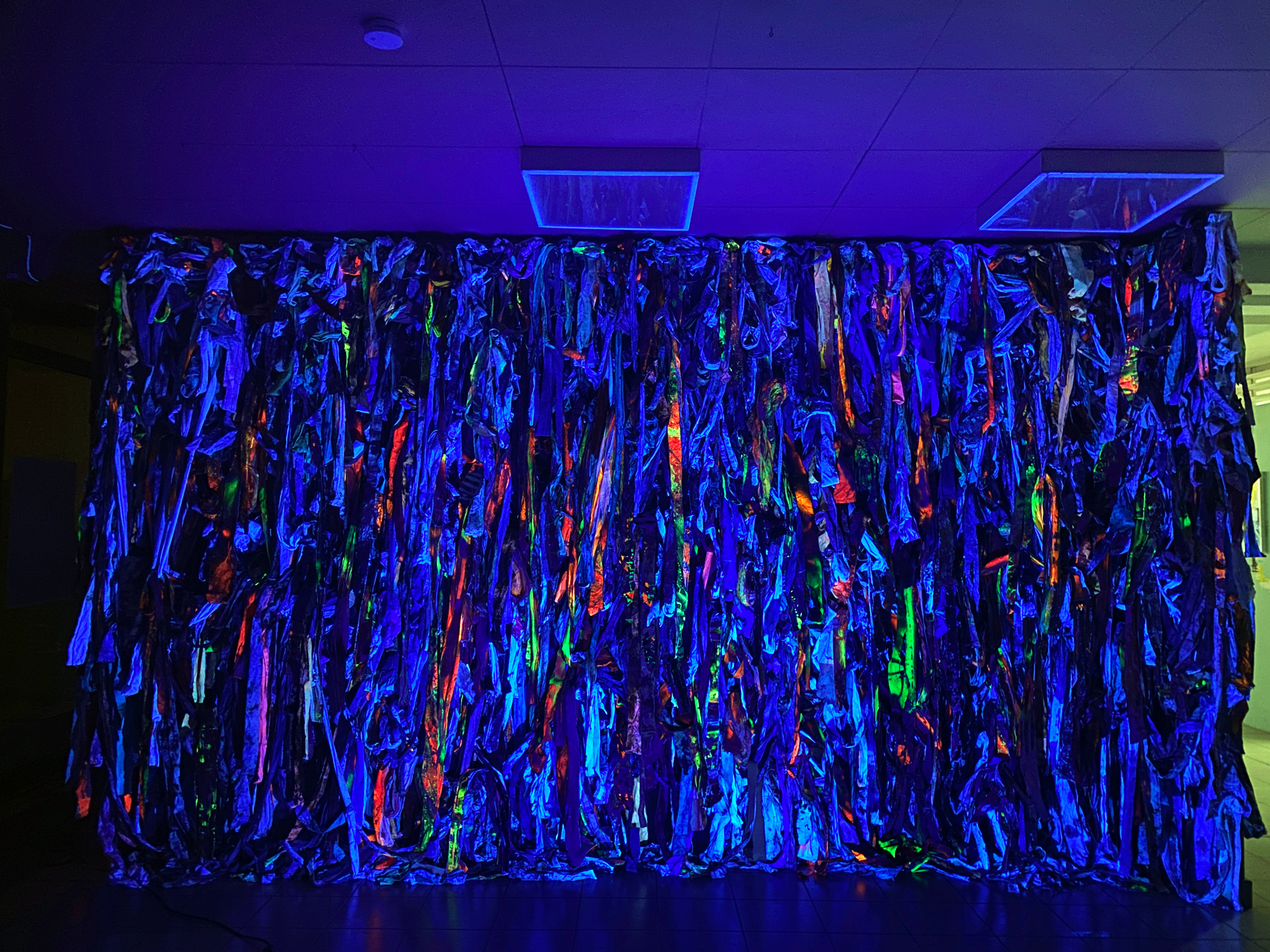 Wall of DNA