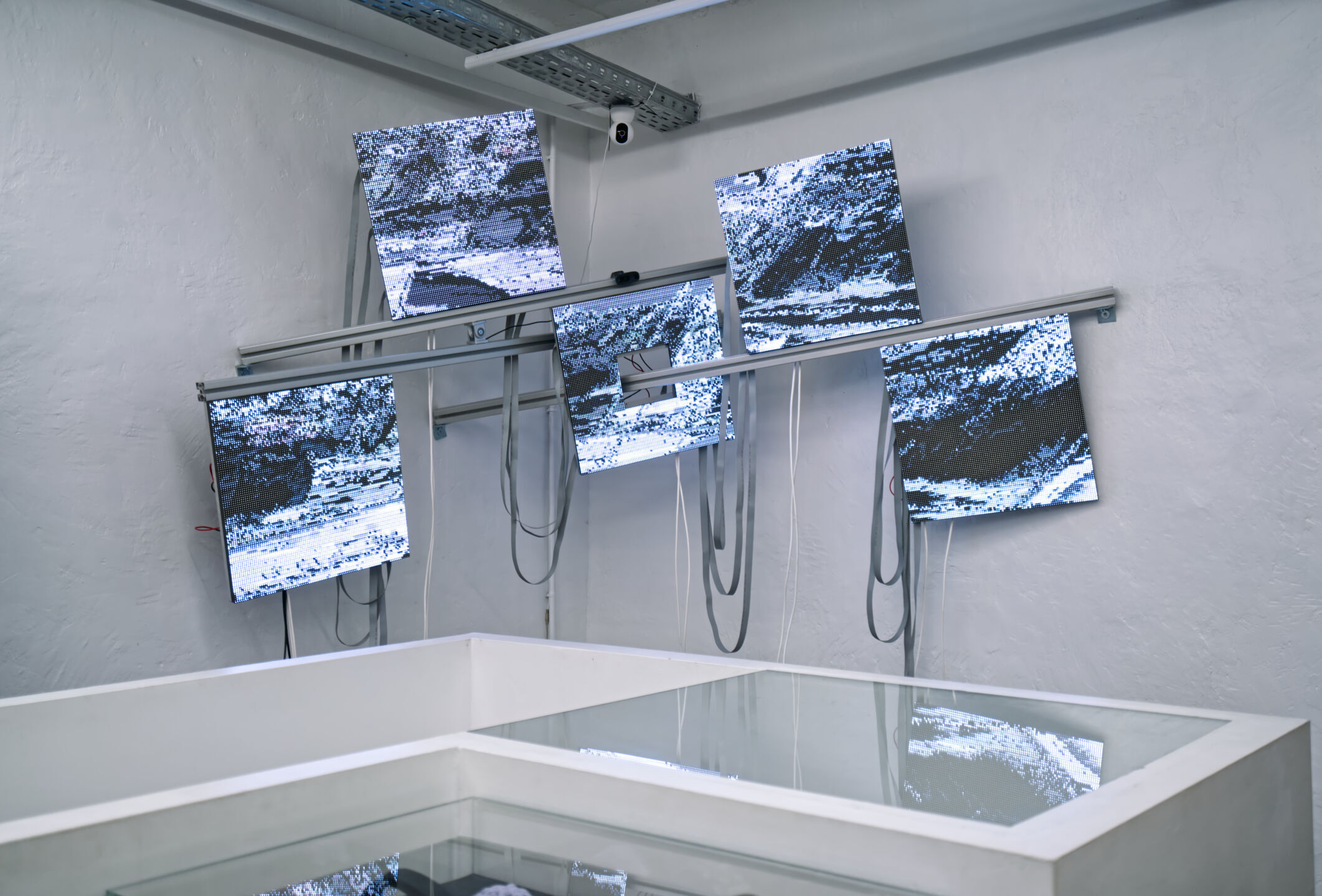 Schweizer Medienkunst - Pax Art Awards 2025