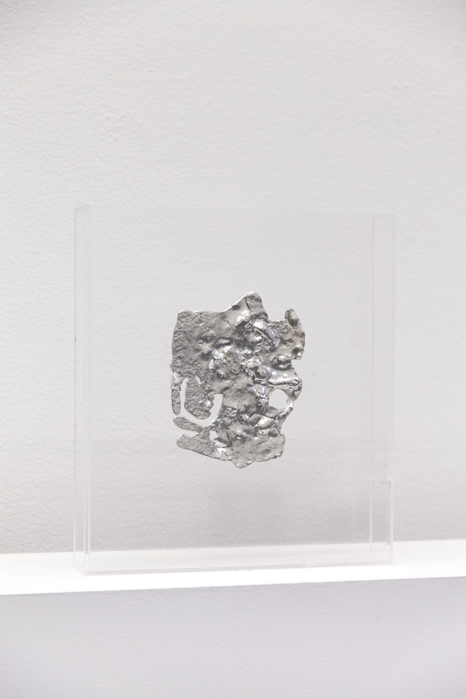 Fossils II