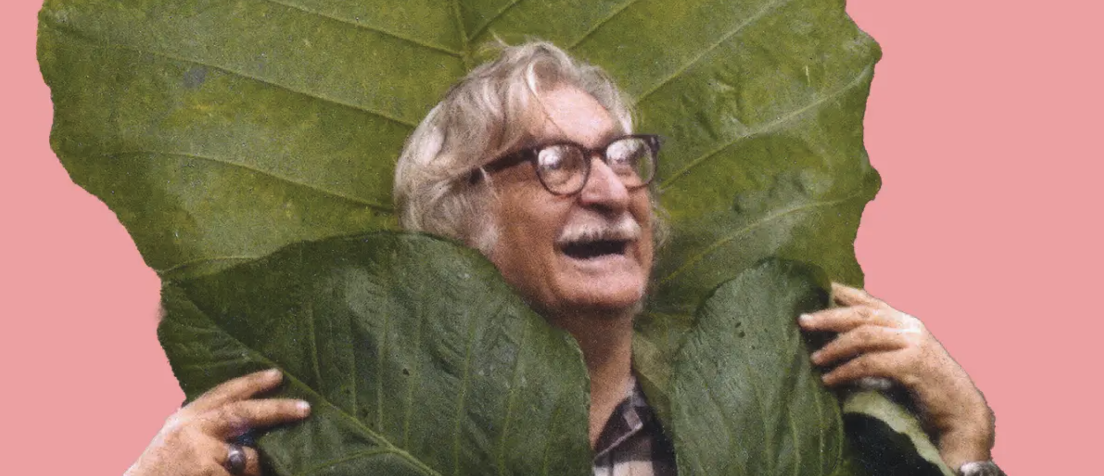 Roberto Burle Marx. Modernismo tropical