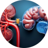 Illustration showing the connection between kidney health and Parkinson’s disease prevention.