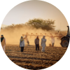 Farm workers wearing face coverings in a dusty field to protect themselves from airborne particles.
