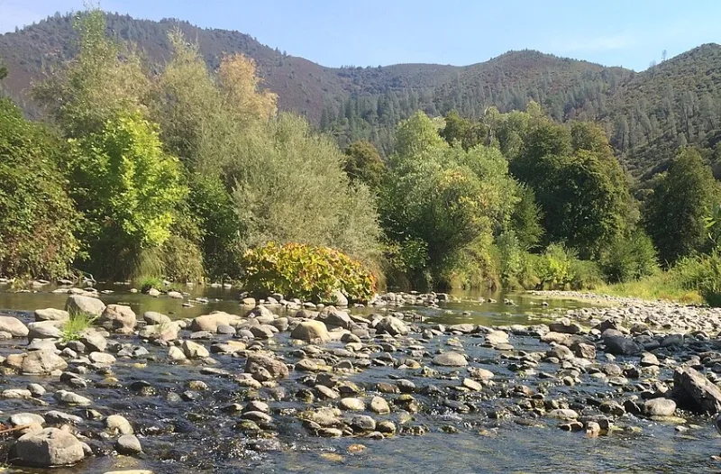 Stream by a forest in Redding, California.