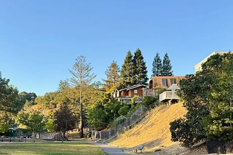 Heatherwood Park, Larkspur, CA.