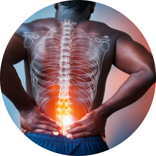 An adult holding their lower back in pain while standing or attempting to lift an object; optional overlay of spinal anatomy or inflamed discs.