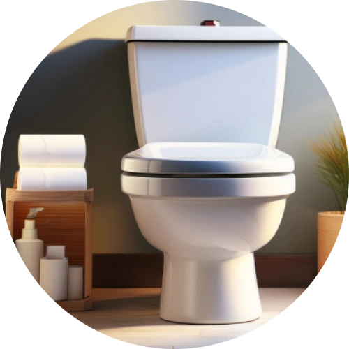 Porcelain toilet in a bathroom