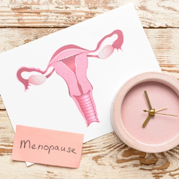 Diagram of the ovaries and menopause written on paper