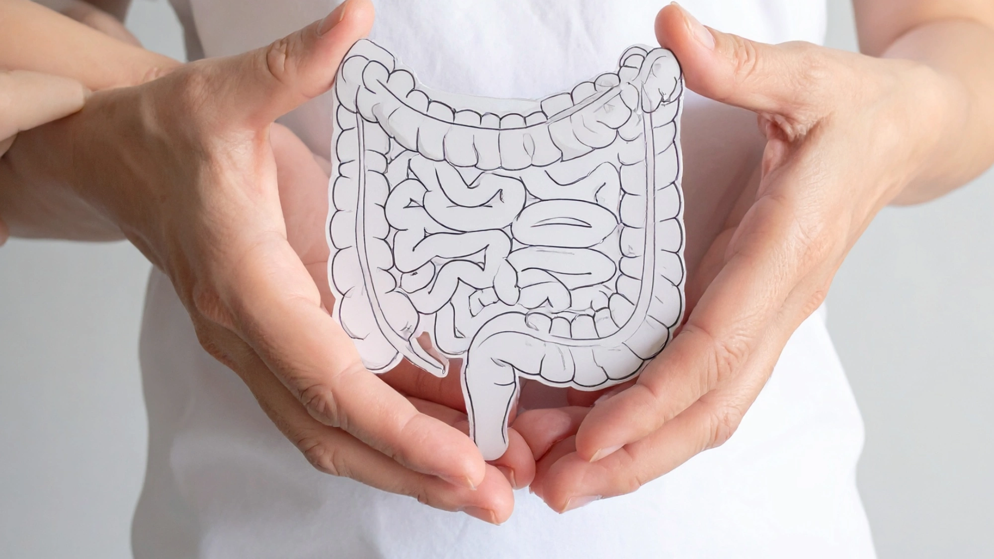 Hand holding intestine-shaped cutout in front of their stomach.
