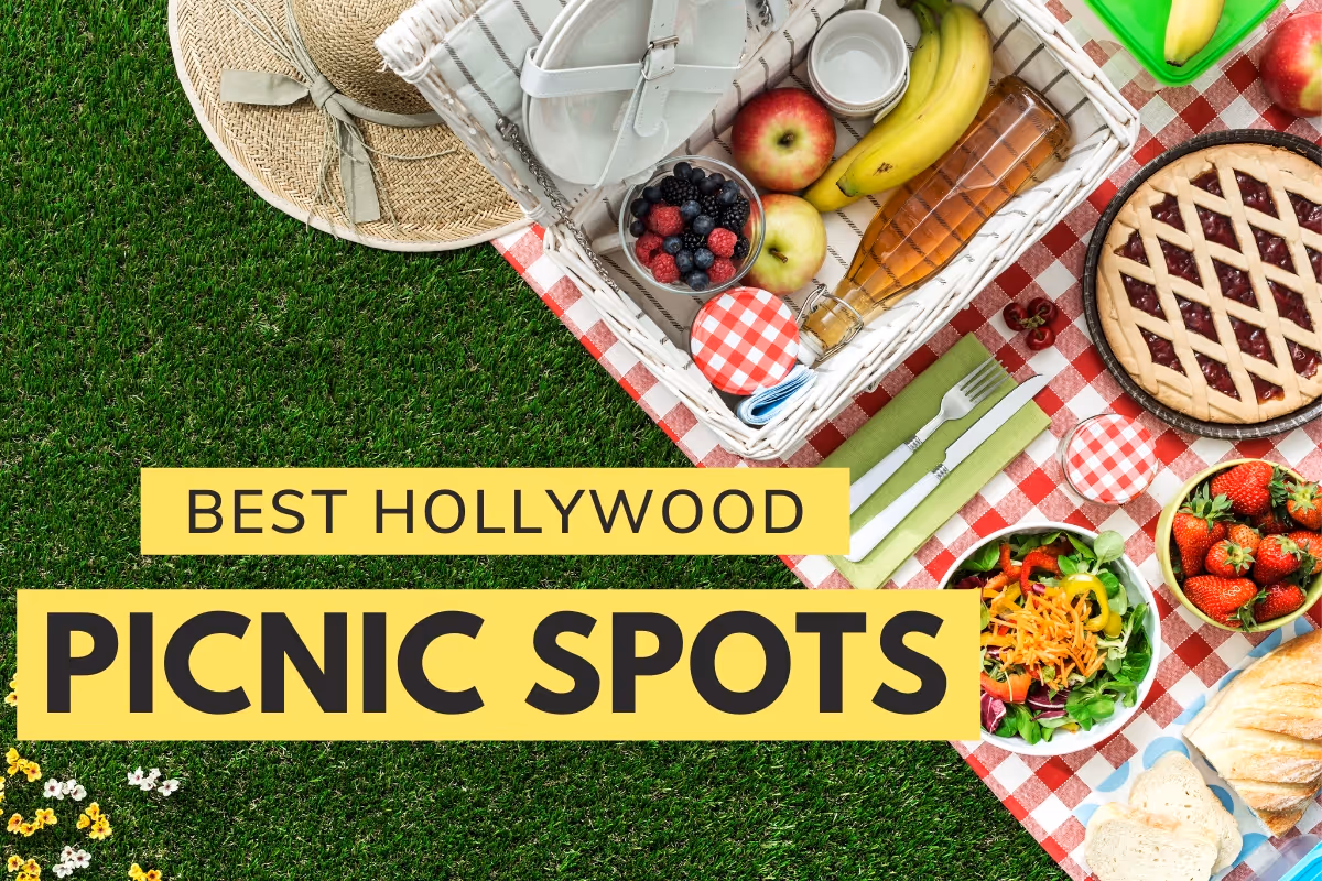 Picnic Setup in the grass