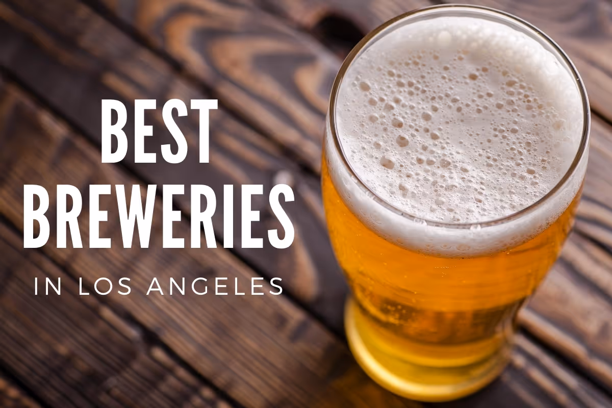 Cup of freshly brewed beer - Best Breweries in LA