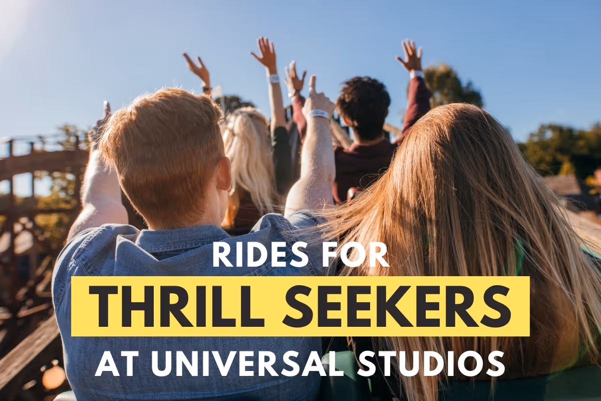 People riding a rollercoaster