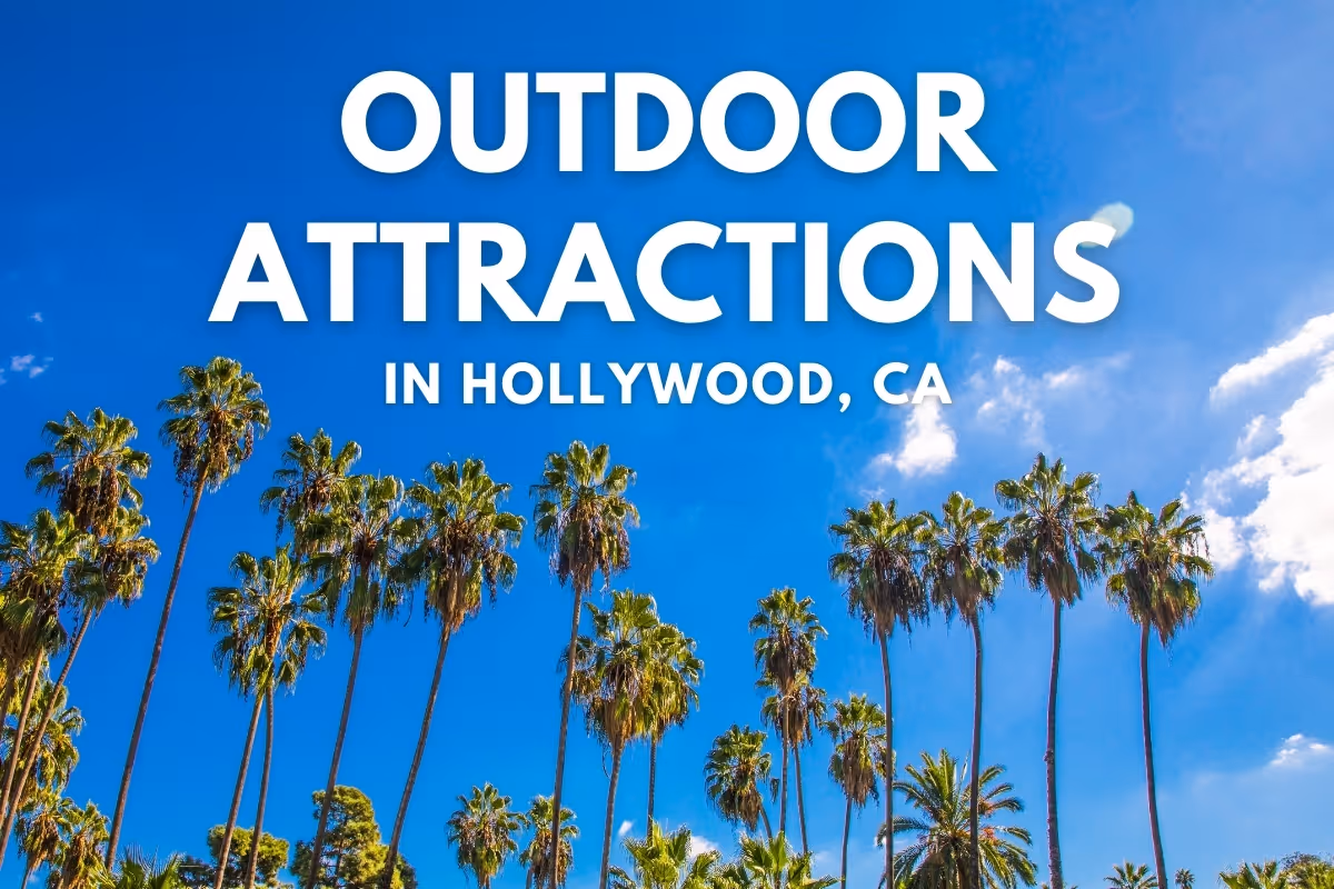 LA Palms - Outdoor Attractions in Hollywood, CA