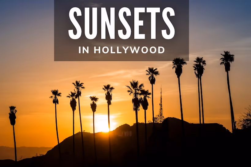 Sunsets in Hollywood - Sunset and palms