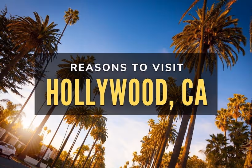 Reasons to Visit Hollywood CA - Palm Streets in Beverly Hills