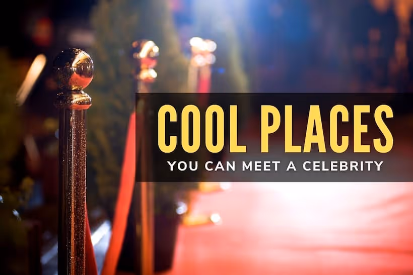 Cool places you can meet a celebrity - Red Carpet