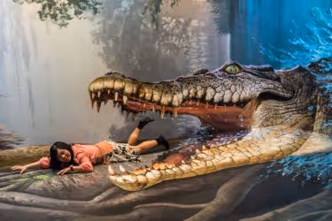 Illusion of an alligator eating a woman