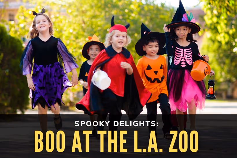 Spooky Delights: Boo at the L.A. Zoo - Kids wearing costumes