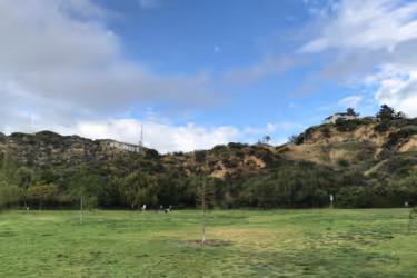 a park with hills behind it