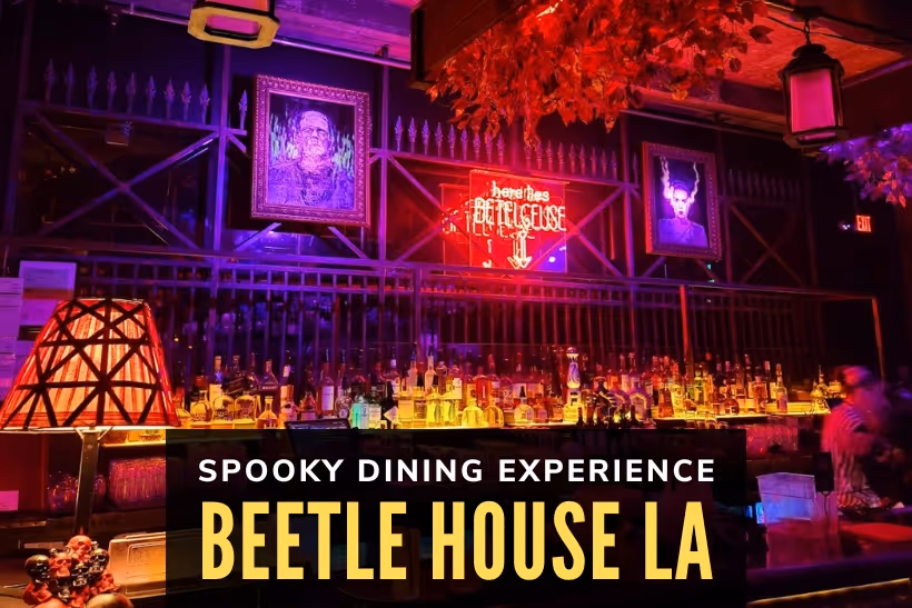 Beetle House LA Experience