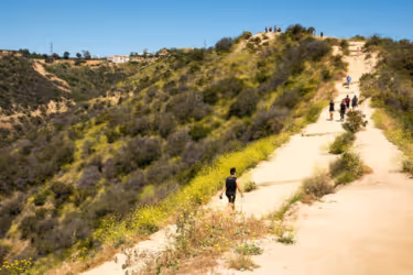 Runyon Canyon