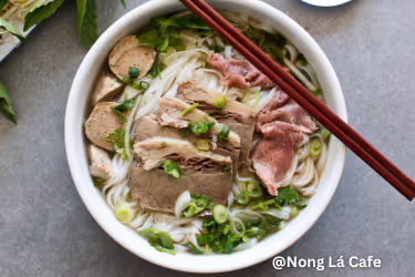 Bowl of Special Pho